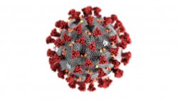 Coronavirus CDC 768x432
